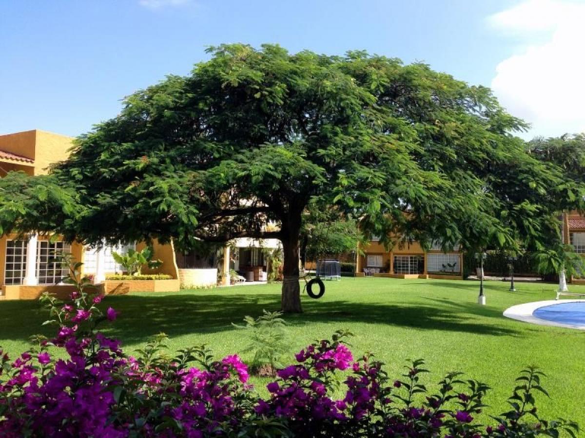 Casa de 3 dormitorios en Morelos, Mexico No. 146231