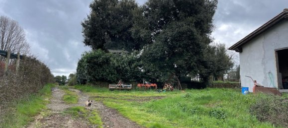 4 rooms Villa in Manziana, Italy No. 228988 5