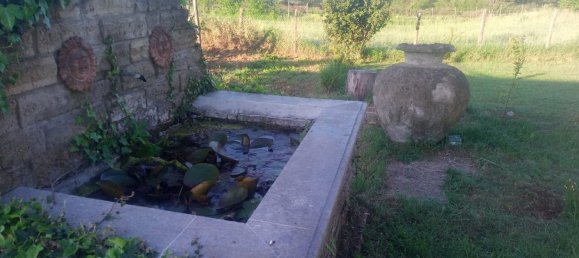 4 rooms Villa in Manziana, Italy No. 228988 16