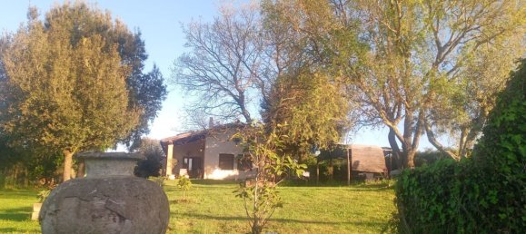 4 rooms Villa in Manziana, Italy No. 228988 3