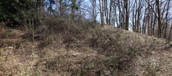 Земельный участок в Вульканайфель, Германия № 166674 2