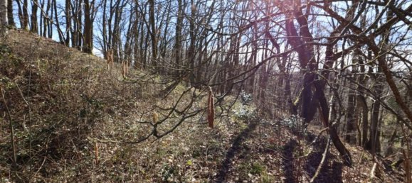 Земельный участок в Вульканайфель, Германия № 166674 3