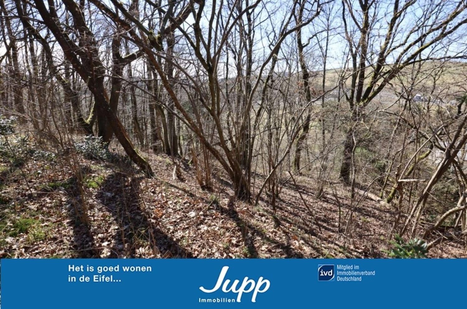 Земельный участок в Вульканайфель, Германия № 166674