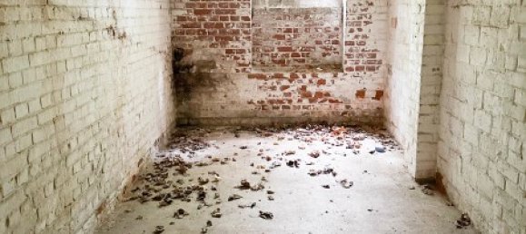 43غرفة بناية في Chemnitz, Germany رقم 56974 14