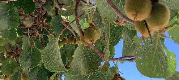 4 غرف نوم منزل في Loire, France رقم 360963 17