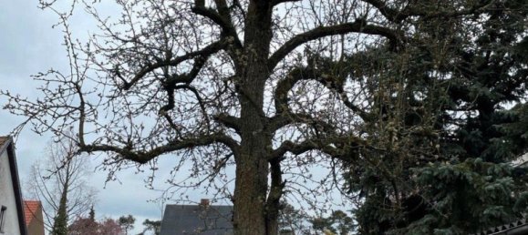  قطعة أرض في Elbe-Elster, Germany رقم 262738 8