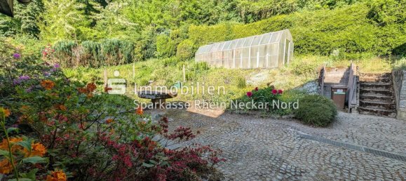 4 chambres Maison à Bergstrase, Germany No. 276535 7