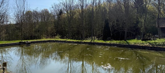 Terrain à Kleinmurbisch, Austria 5838m² No. 134680 5