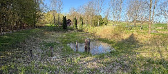 Terrain à Kleinmurbisch, Austria 5838m² No. 134680 6