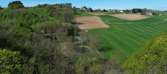 Terrain à Kleinmurbisch, Austria 5838m² No. 134680 9