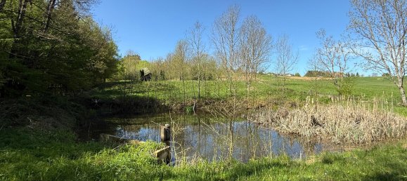 Terrain à Kleinmurbisch, Austria 5838m² No. 134680 7