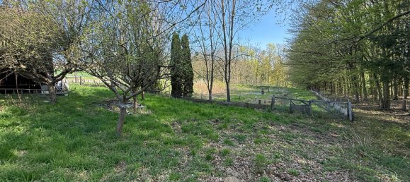 Terrain à Kleinmurbisch, Austria 5838m² No. 134680 10