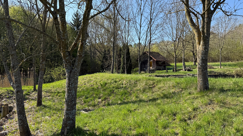 Terrain à Kleinmurbisch, Austria 5838m² No. 134680