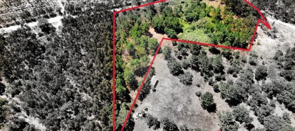 9760m² Land in Cartaxo, Portugal No. 75204 2