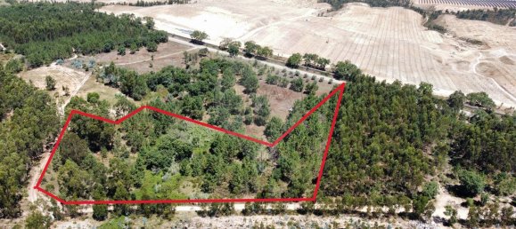 9760m² Land in Cartaxo, Portugal No. 75204 3