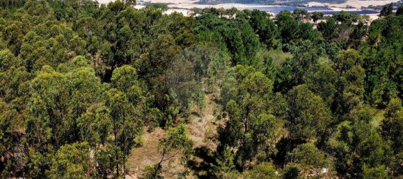 9760m² Land in Cartaxo, Portugal No. 75204 6