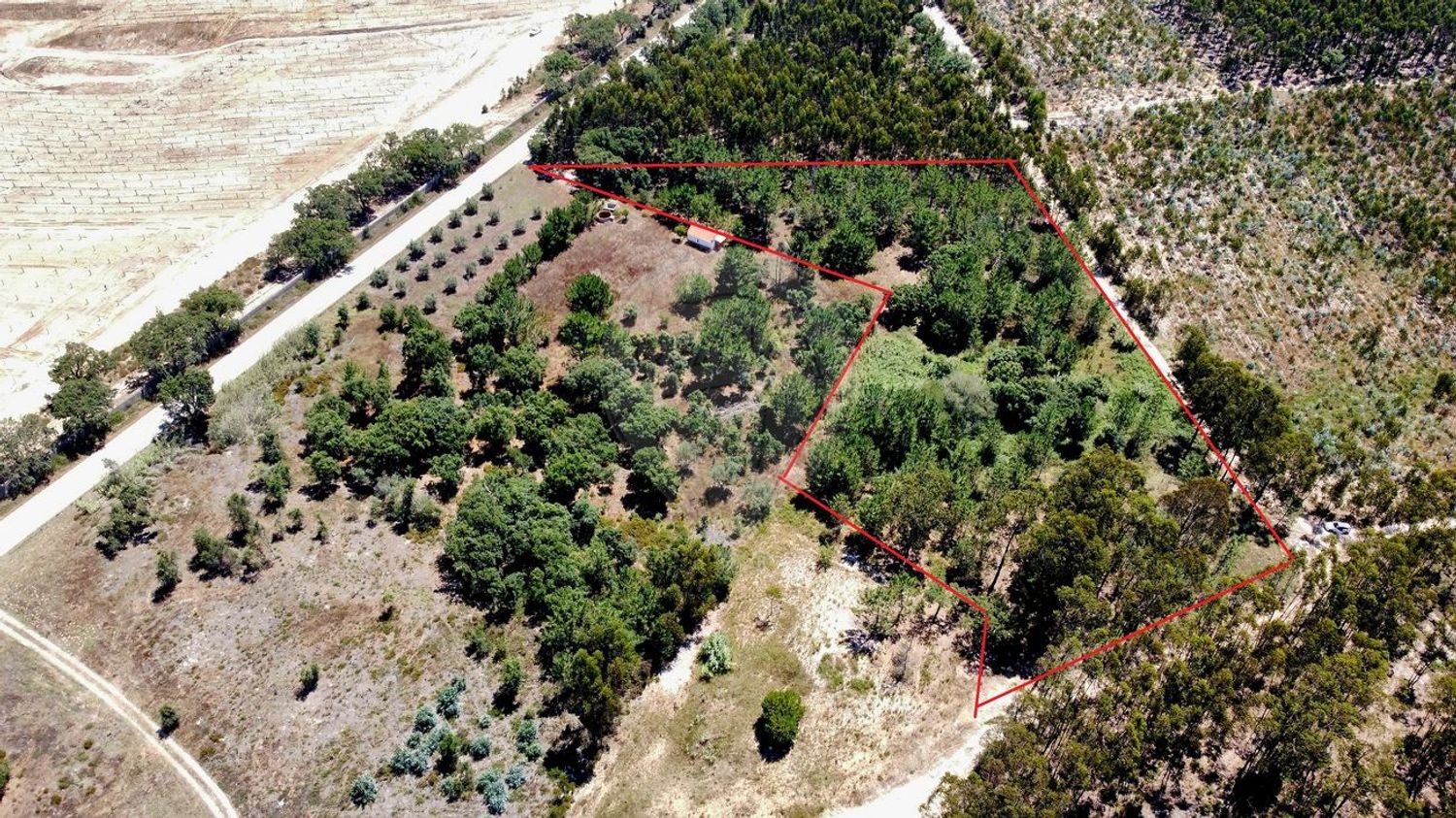 9760m² Land in Cartaxo, Portugal No. 75204