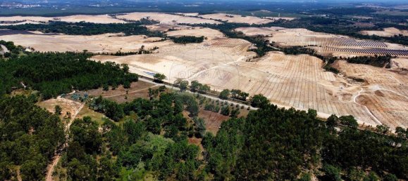 9760m² Land in Cartaxo, Portugal No. 75204 4