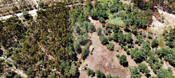 9760m² Land in Cartaxo, Portugal No. 75204 7