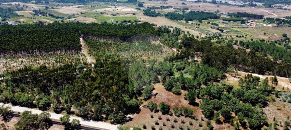 9760m² Land in Cartaxo, Portugal No. 75204 5