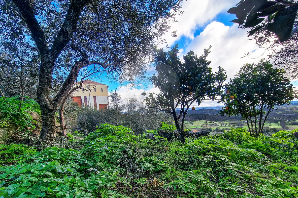 1 Schlafzimmer Haus in Belmonte, Portugal, Nr. 171952