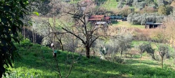 Земельный участок с 1 комнатой в Сант Анджело Романо, Италия № 17534 25
