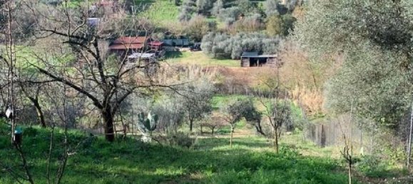 Земельный участок с 1 комнатой в Сант Анджело Романо, Италия № 17534 20
