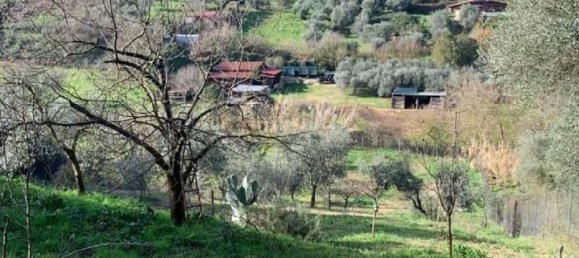 Земельный участок с 1 комнатой в Сант Анджело Романо, Италия № 17534 23