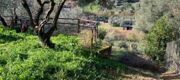 Земельный участок с 1 комнатой в Сант Анджело Романо, Италия № 17534 19