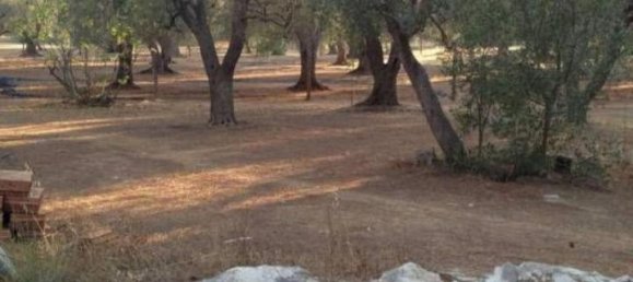 Terreno de 1 divisão em Oria, Italy N.º 25741 3