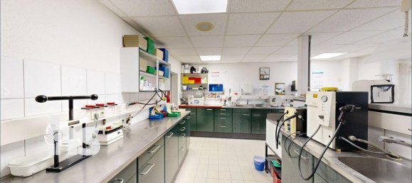 15غرفة بناية في Saalekreis, Germany رقم 241537 19