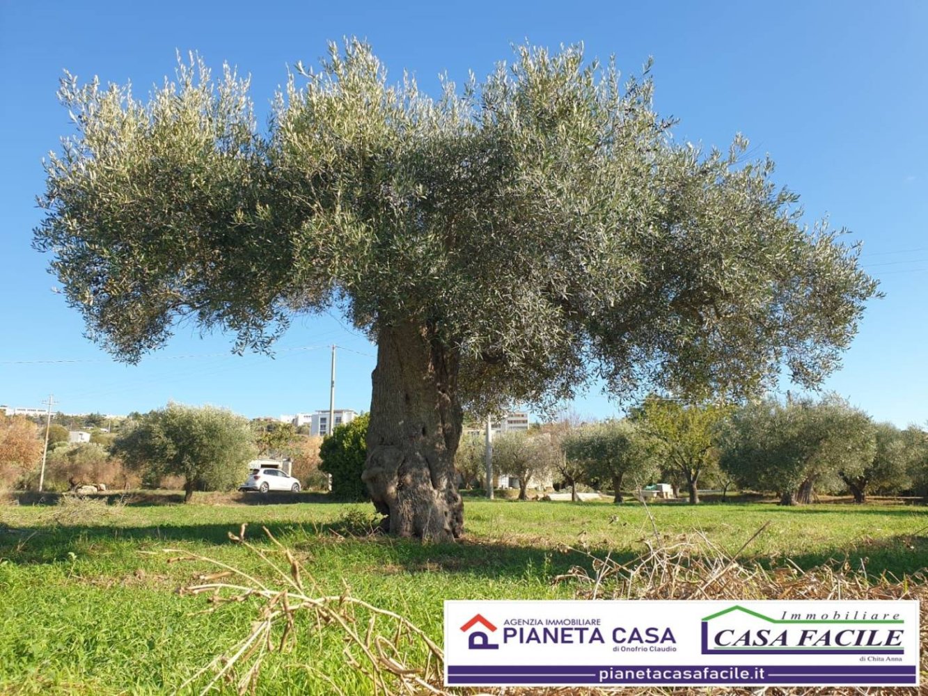 Grundstück in Matera, Italy 85m², Nr. 343586