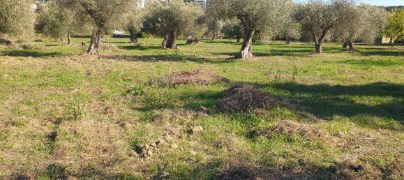 Grundstück in Matera, Italy 85m², Nr. 343586 3