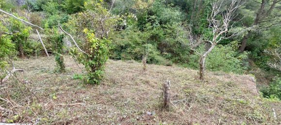 1 bedroom House in Maiori, Italy No. 358302 21