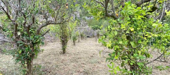 1 bedroom House in Maiori, Italy No. 358302 29