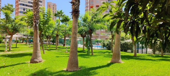 Apartamento de 2 dormitorios en Benidorm, Spain No. 143340 23