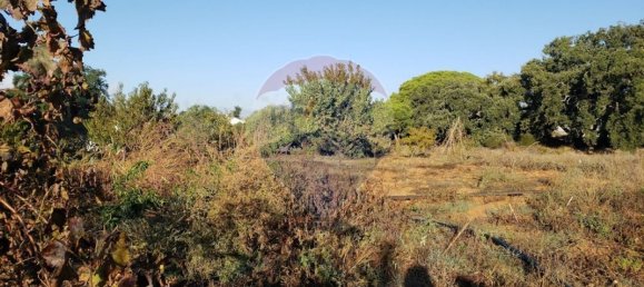 Terrain à Lagoa, Portugal 6610m² No. 41015 2