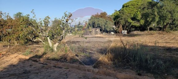 Terrain à Lagoa, Portugal 6610m² No. 41015 4