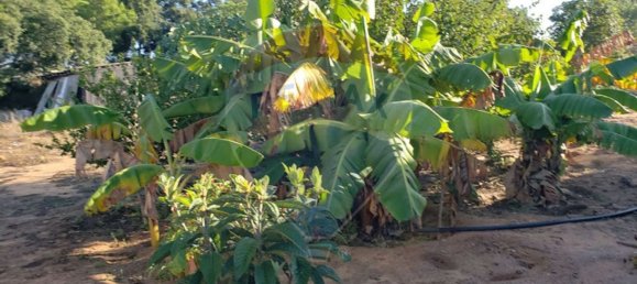 Terrain à Lagoa, Portugal 6610m² No. 41015 5