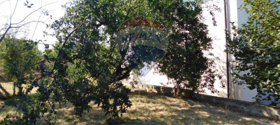 2 Schlafzimmer Haus in Rapino, Italy, Nr. 178931 22