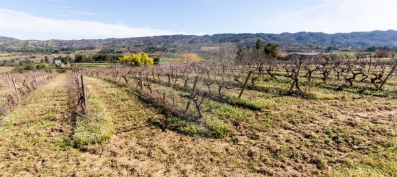 3 bedrooms House in Peraboa, Portugal No. 66603 40