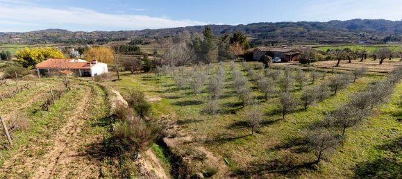 3 bedrooms House in Peraboa, Portugal No. 66603 34