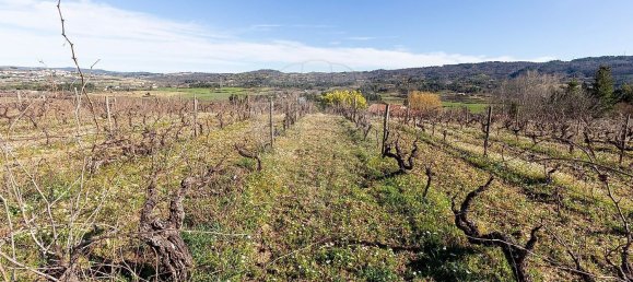 3 bedrooms House in Peraboa, Portugal No. 66603 41