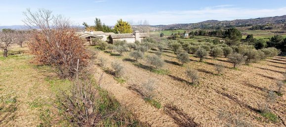 3 bedrooms House in Peraboa, Portugal No. 66603 48