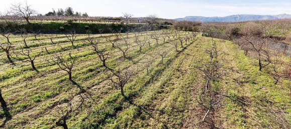 3 bedrooms House in Peraboa, Portugal No. 66603 37