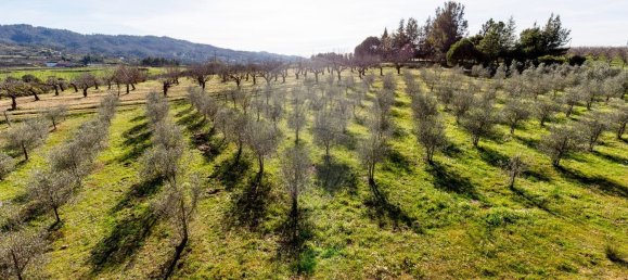 3 bedrooms House in Peraboa, Portugal No. 66603 33