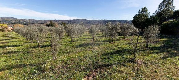 3 bedrooms House in Peraboa, Portugal No. 66603 35