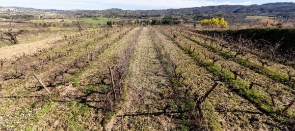 3 bedrooms House in Peraboa, Portugal No. 66603 39