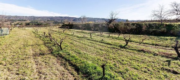 3 bedrooms House in Peraboa, Portugal No. 66603 38