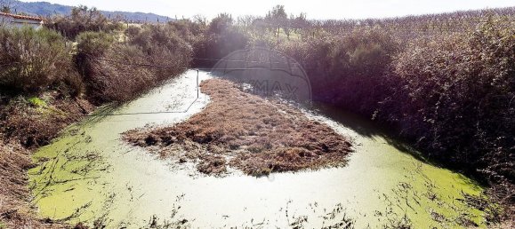 3 bedrooms House in Peraboa, Portugal No. 66603 42